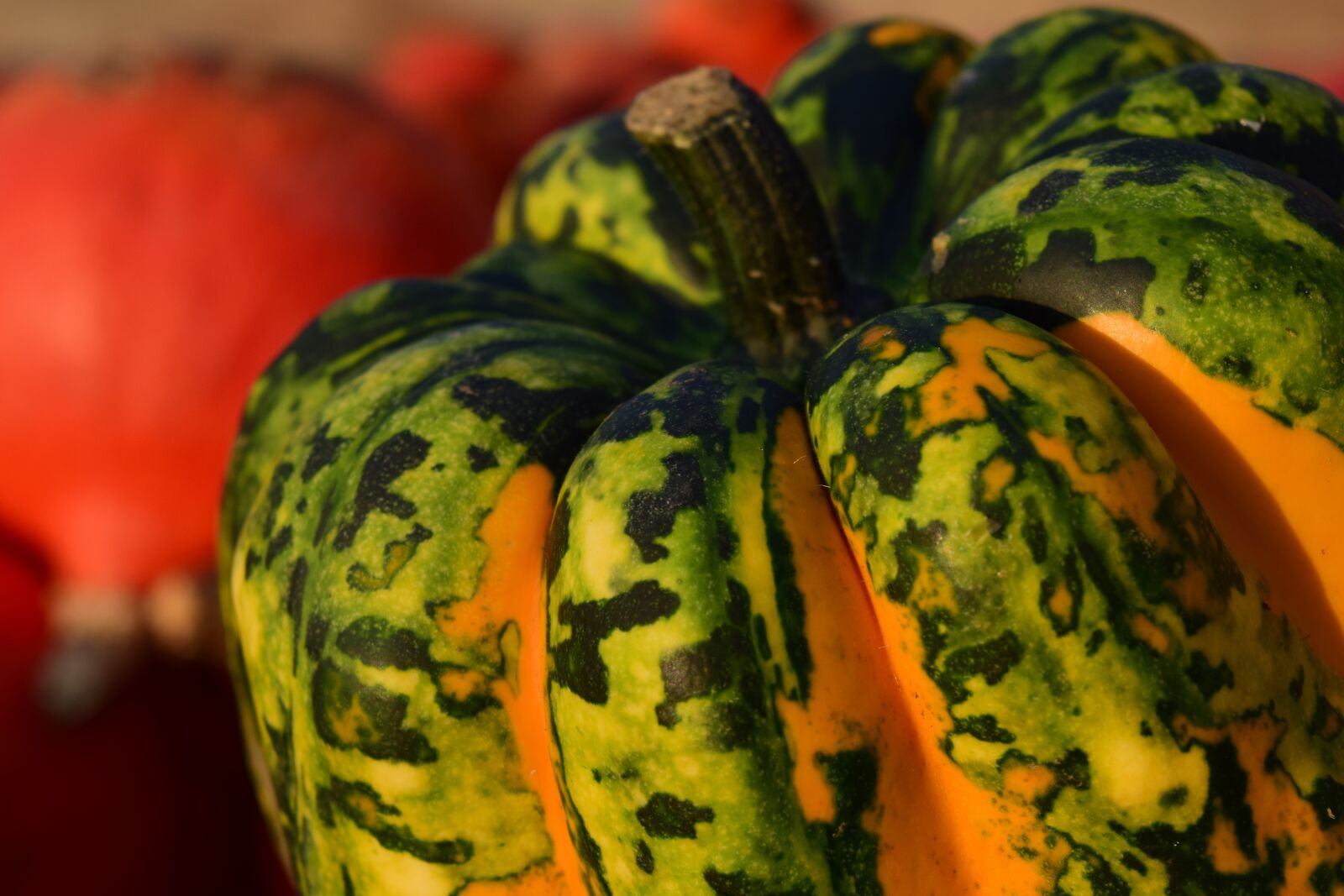Nikon D3300 sample photo. Pumpkin, close up, autumn photography