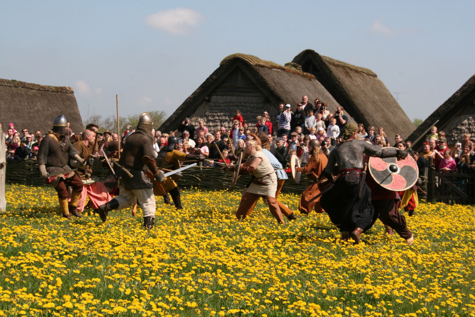 Sigma 18-200mm f/3.5-6.3 DC OS sample photo. Vikings photography