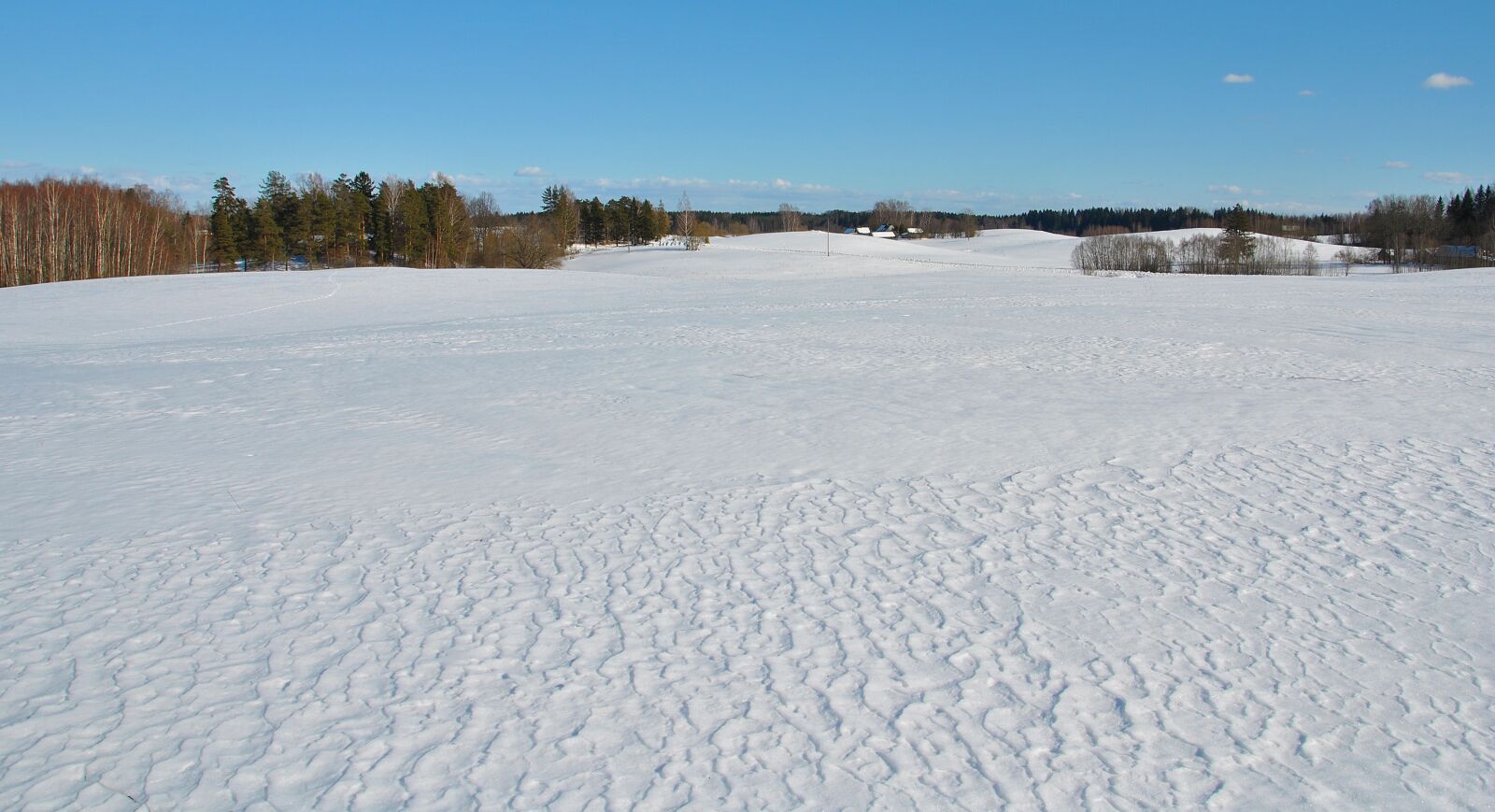 Nikon D3000 sample photo. Winter, snow, cold photography