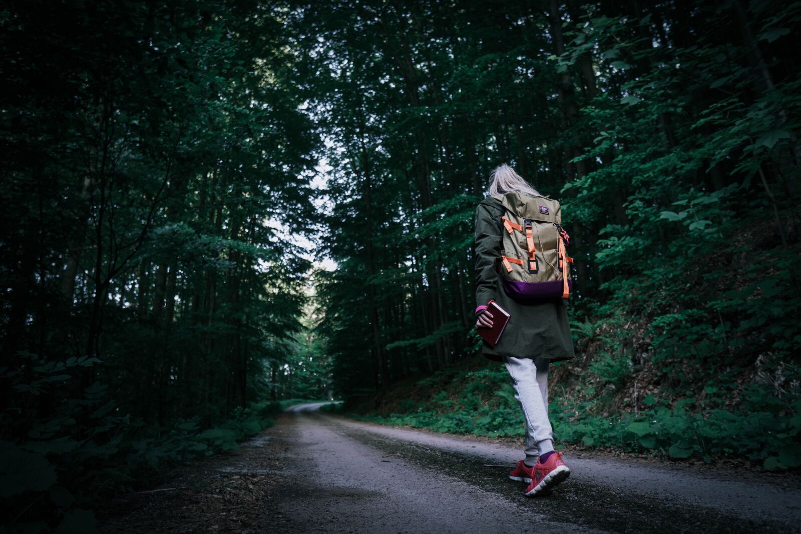 Sony a6400 + Sigma 16mm F1.4 DC DN | C sample photo. Bushcraft, forest, blade photography