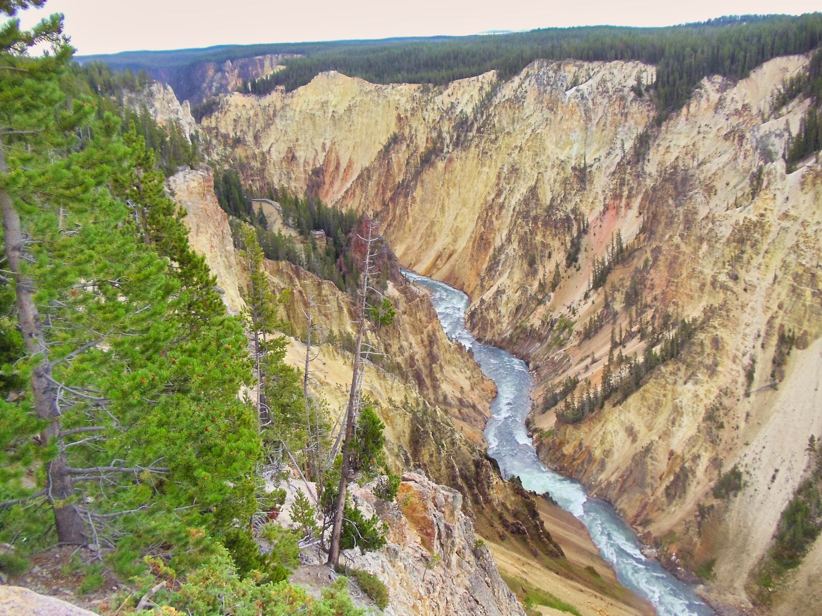 Sony Cyber-shot DSC-W370 sample photo. Yellowstone, nature, wyoming photography