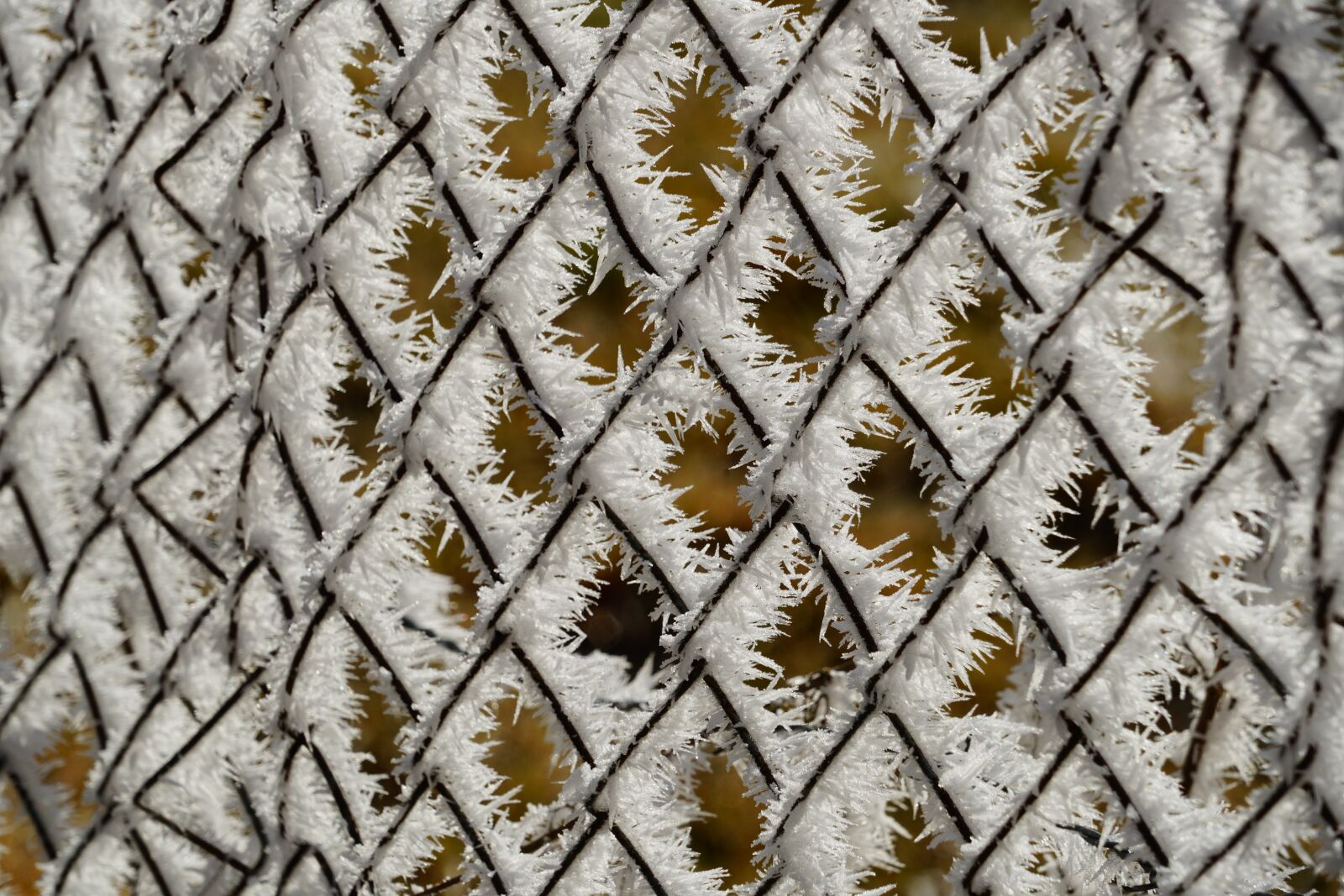 Sony a7R II + Sony FE 24-240mm F3.5-6.3 OSS sample photo. Fence, hoarfrost, wire mesh photography