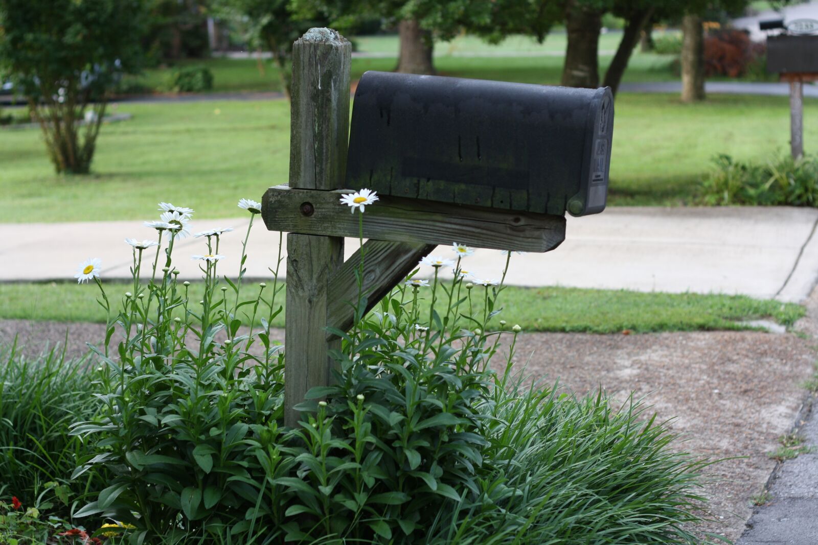Canon EOS 1000D (EOS Digital Rebel XS / EOS Kiss F) sample photo. Mailbox, mail box, letter photography
