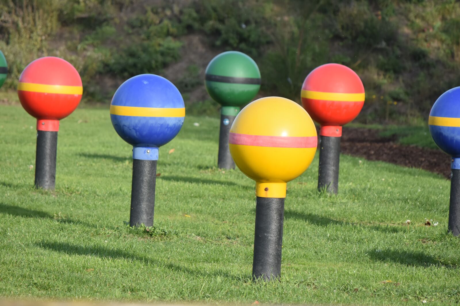 Nikon D7200 sample photo. Playground, outdoor, grass photography