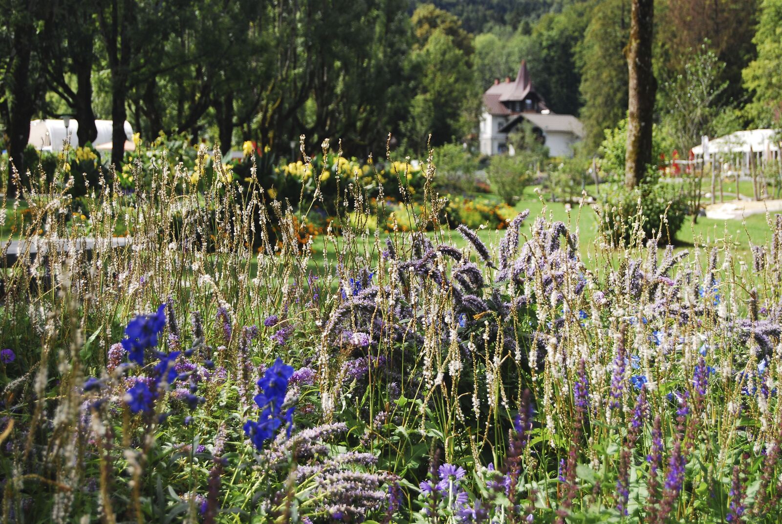 Nikon D80 sample photo. Bad ischl, salzkammergut, garden photography