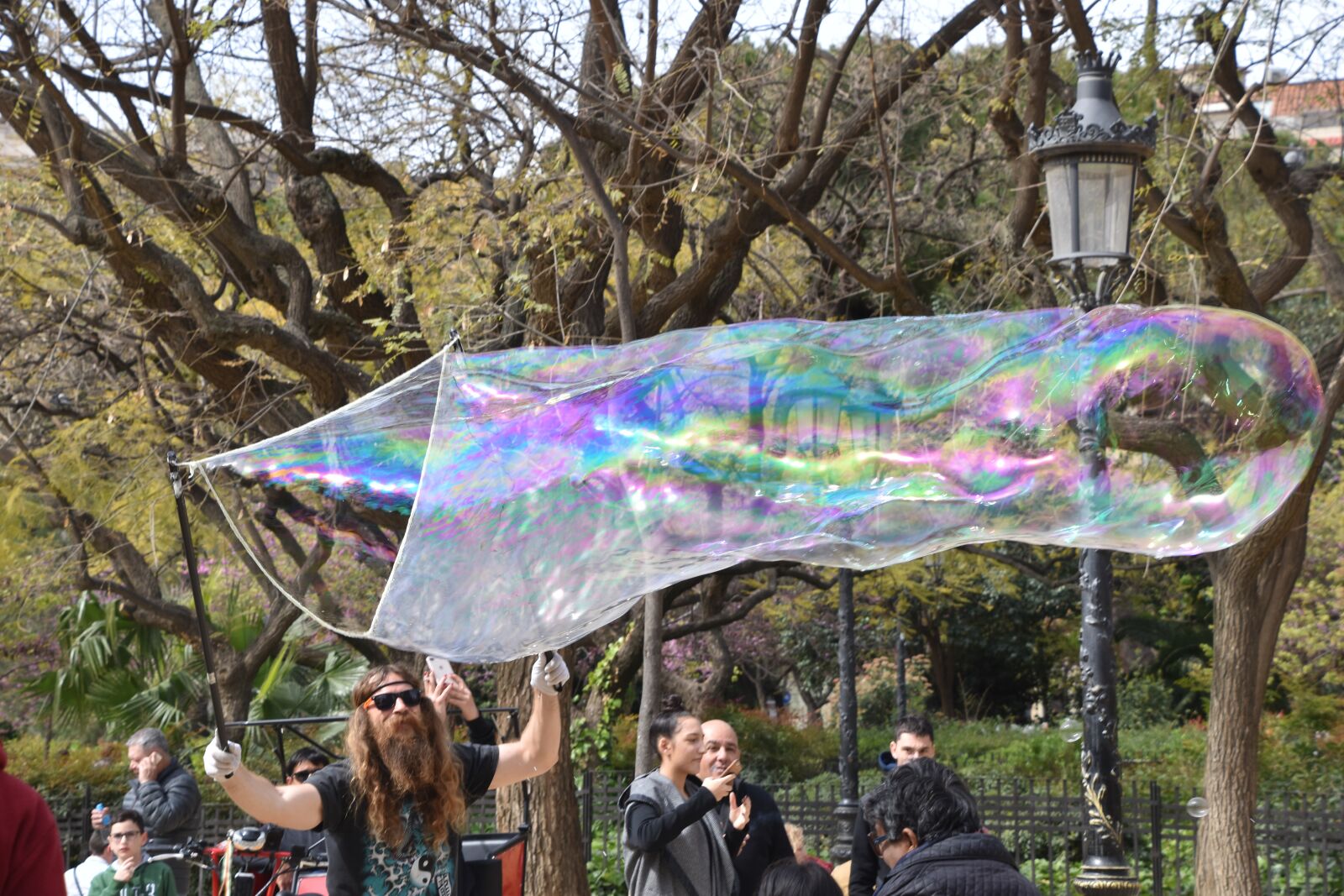 Nikon D5600 sample photo. Park, tree, bubble photography