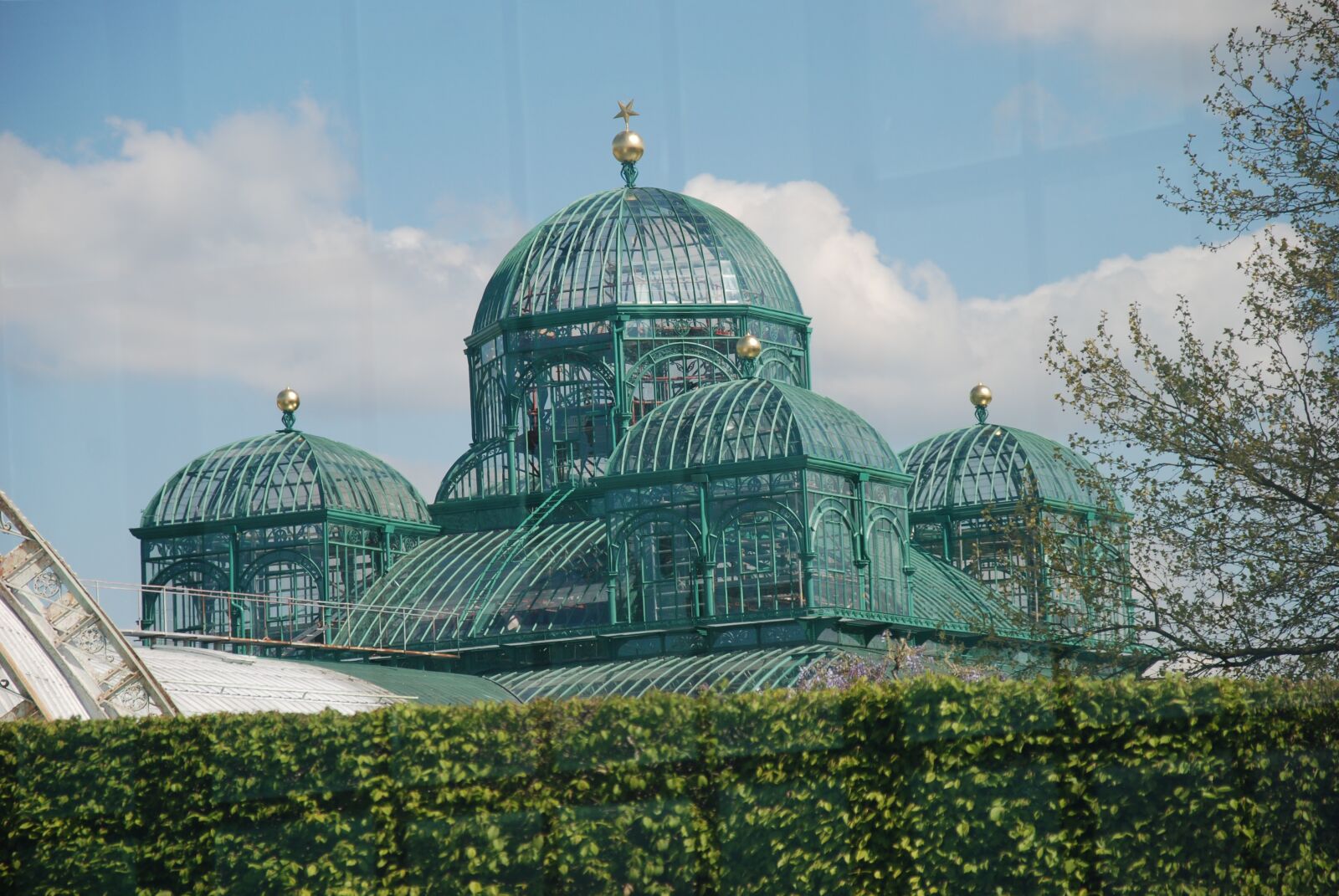 Nikon D80 sample photo. Botanical gardens, brussels, belgium photography