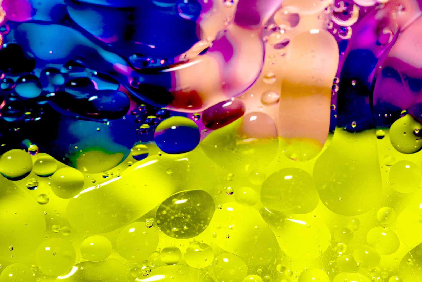 Nikon D810 sample photo. Abstract, bubbles, oil photography