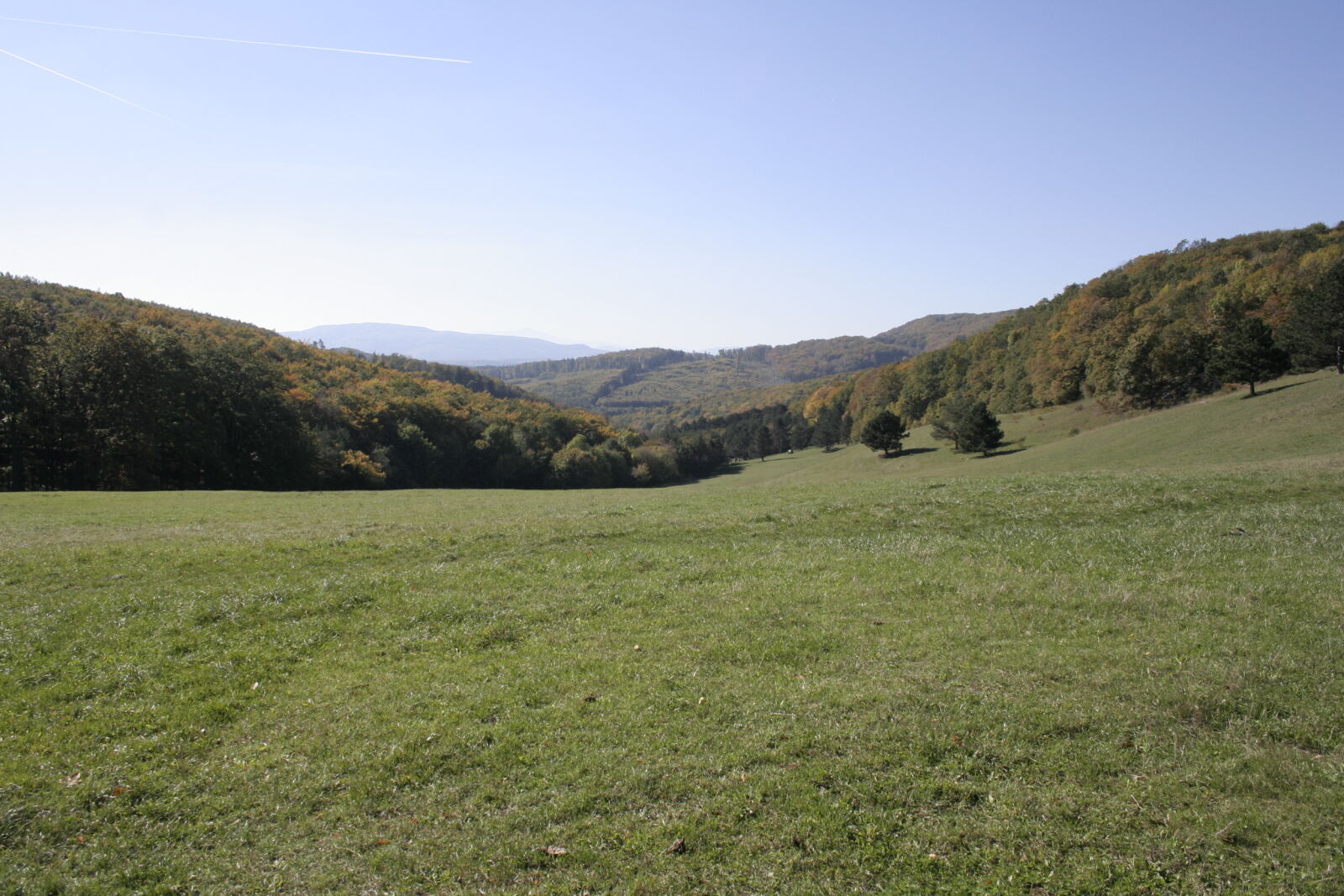 Canon EOS 350D (EOS Digital Rebel XT / EOS Kiss Digital N) sample photo. Austria, forest, meadow, summer photography