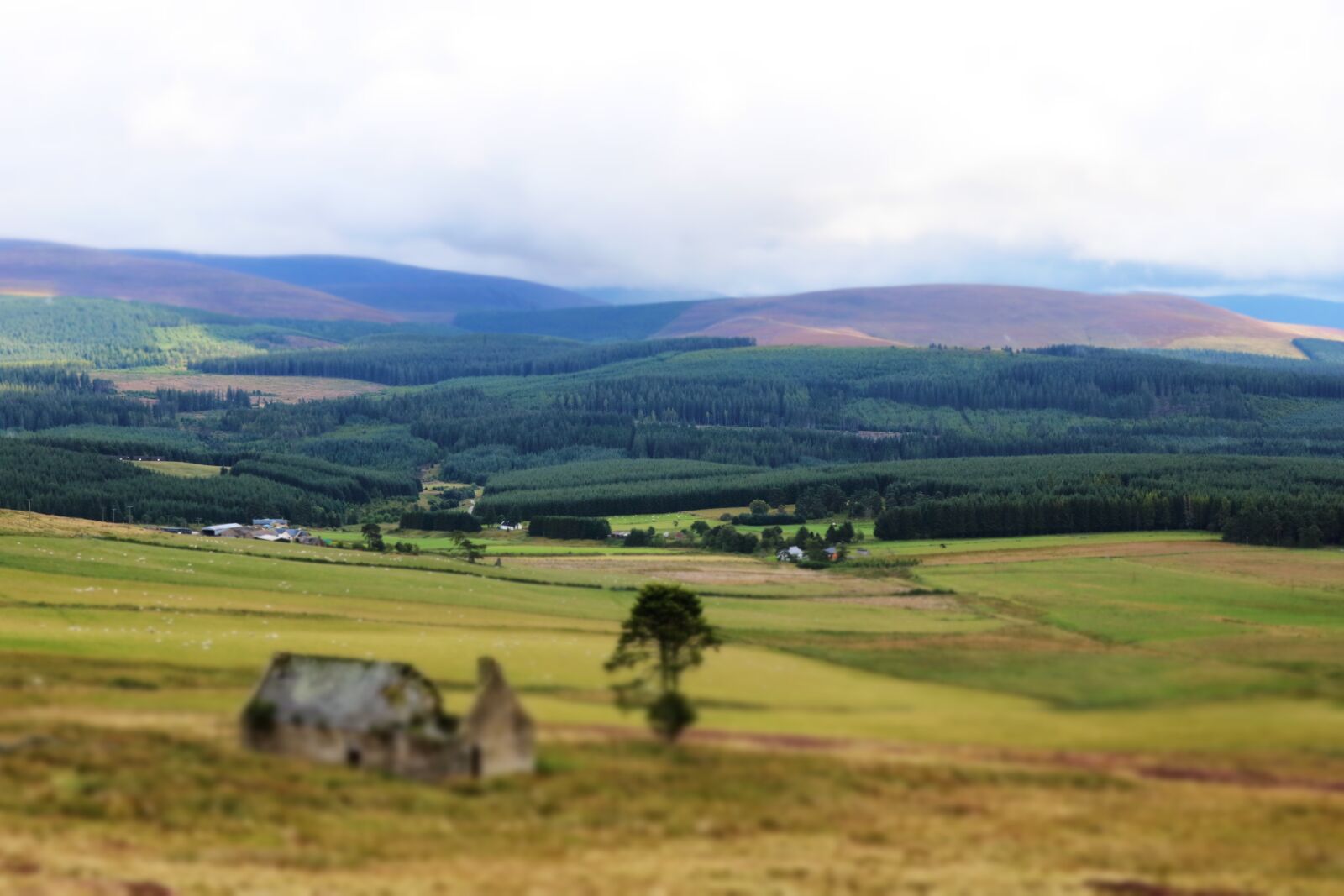 Canon EOS 750D (EOS Rebel T6i / EOS Kiss X8i) sample photo. Highland, scotland, landscape photography