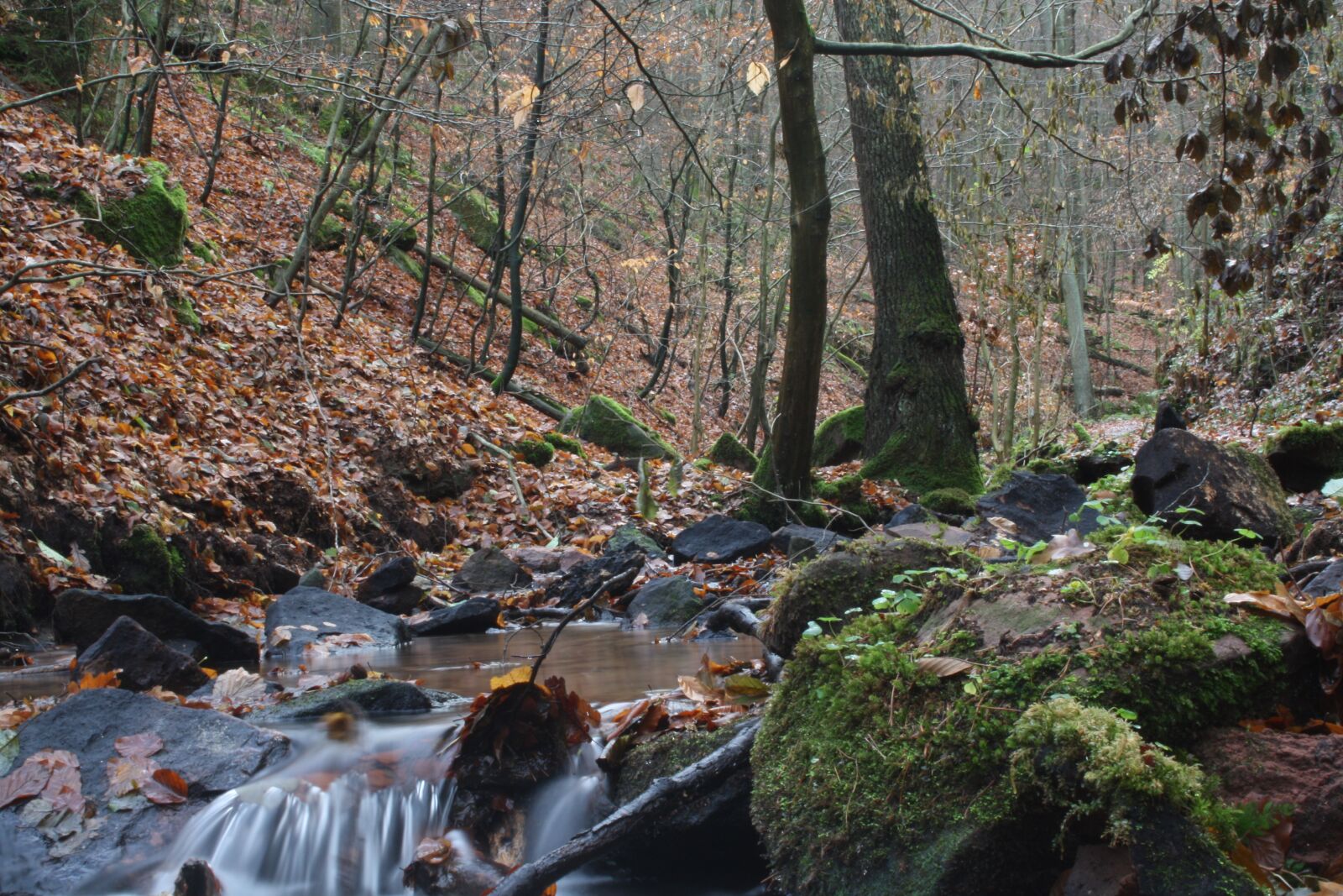 Canon EOS 1000D (EOS Digital Rebel XS / EOS Kiss F) sample photo. Creek, winter, mystical photography