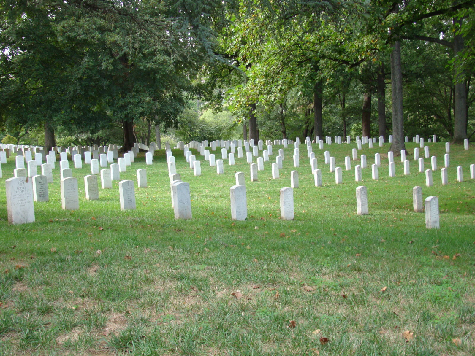 Sony Cyber-shot DSC-H50 sample photo. Cemetery, monumental, cemetery photography