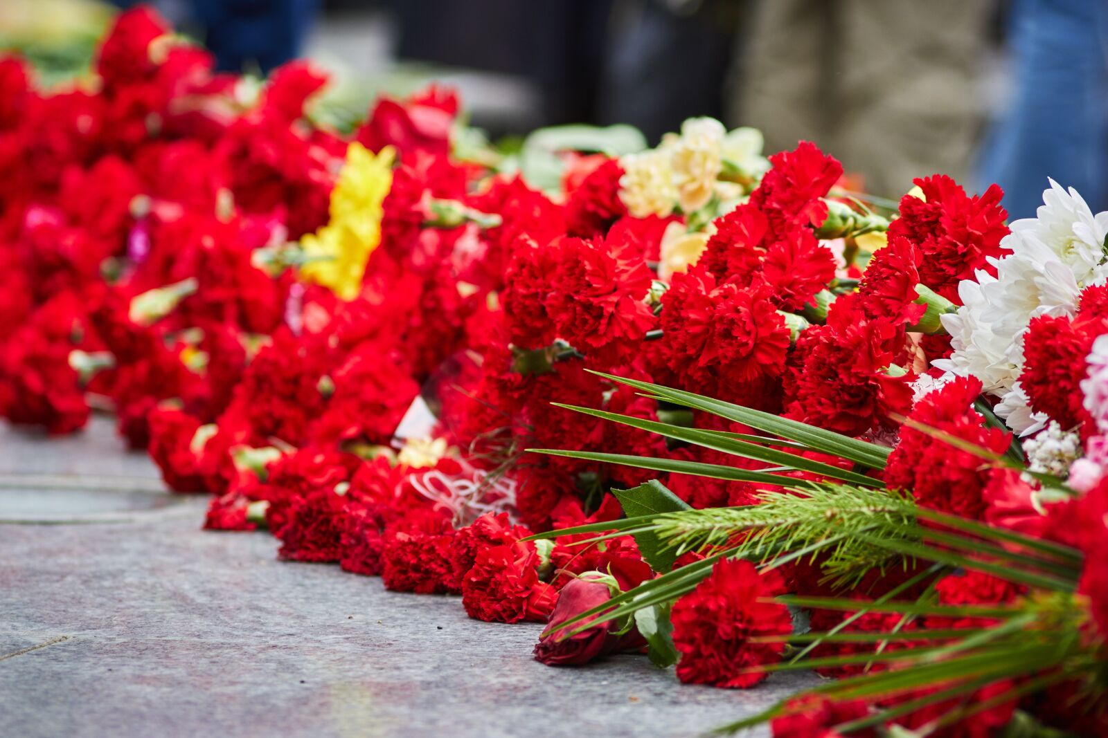 Canon EOS 550D (EOS Rebel T2i / EOS Kiss X4) sample photo. Victory day, flowers, memory photography