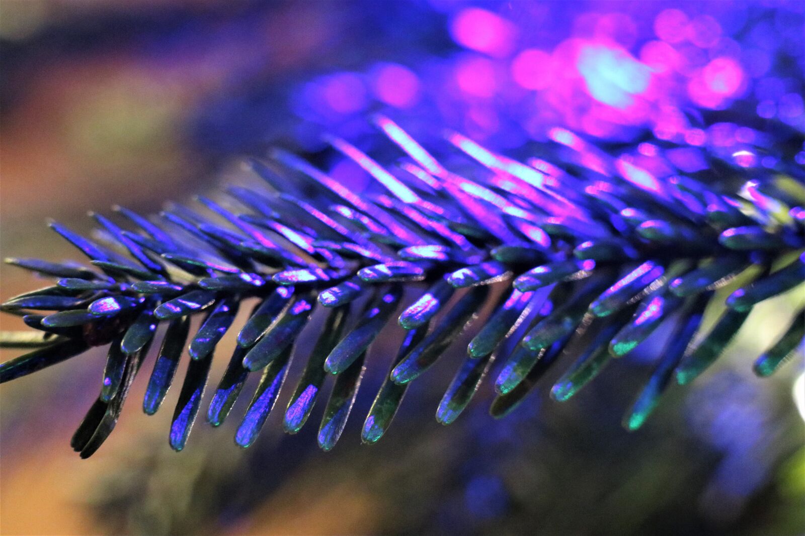 Canon EF-M 18-150mm F3.5-6.3 IS STM sample photo. Christmas tree, sprig, spruce photography