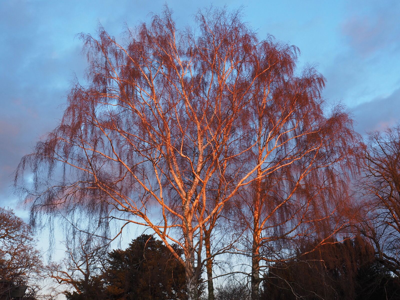 Olympus OM-D E-M5 II sample photo