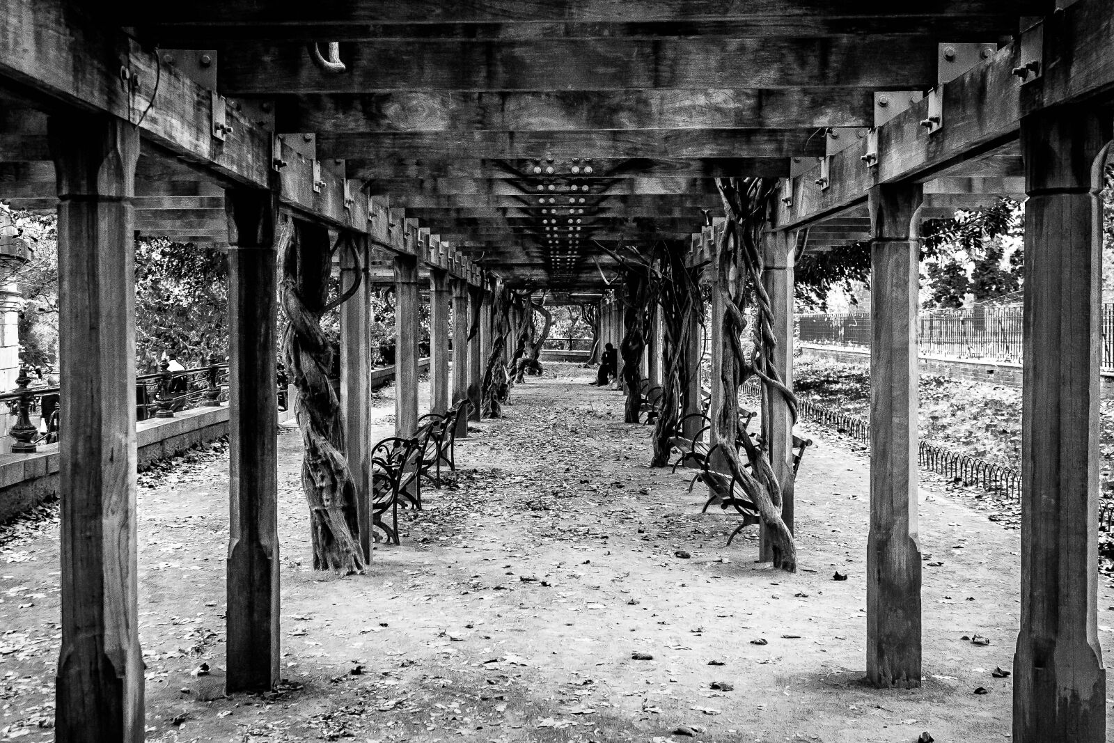 Canon EOS 1000D (EOS Digital Rebel XS / EOS Kiss F) sample photo. B, w, benches, central photography