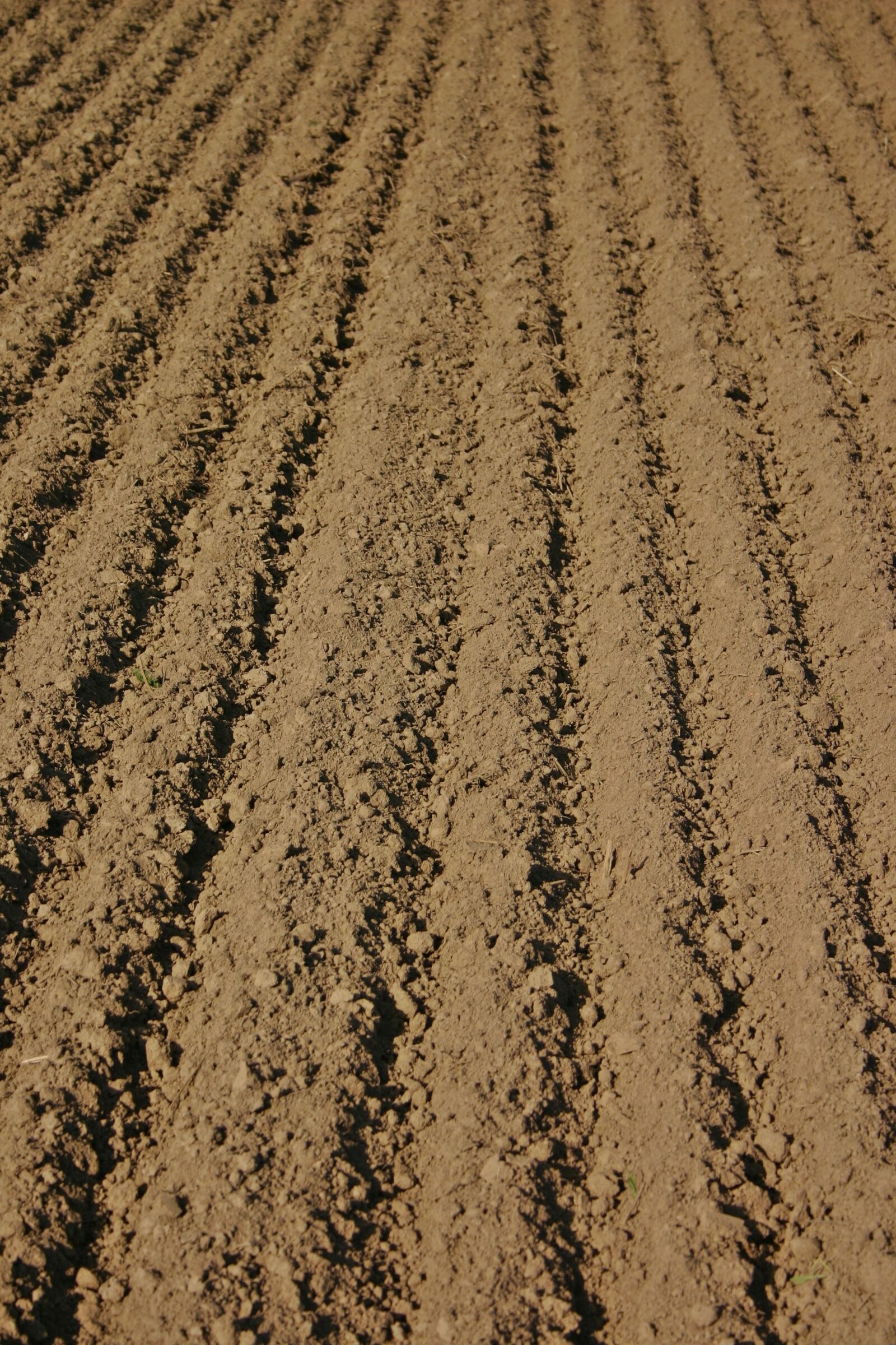 Canon EOS 300D (EOS Digital Rebel / EOS Kiss Digital) sample photo. Arable, furrow, farmland rut photography