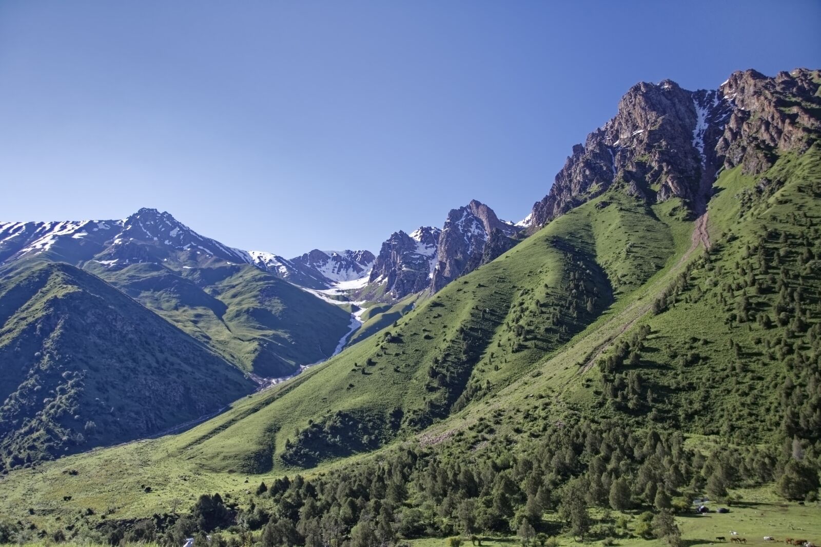 Nikon D500 sample photo. Kyrgyzstan, chychkan valley, tschytschkan photography