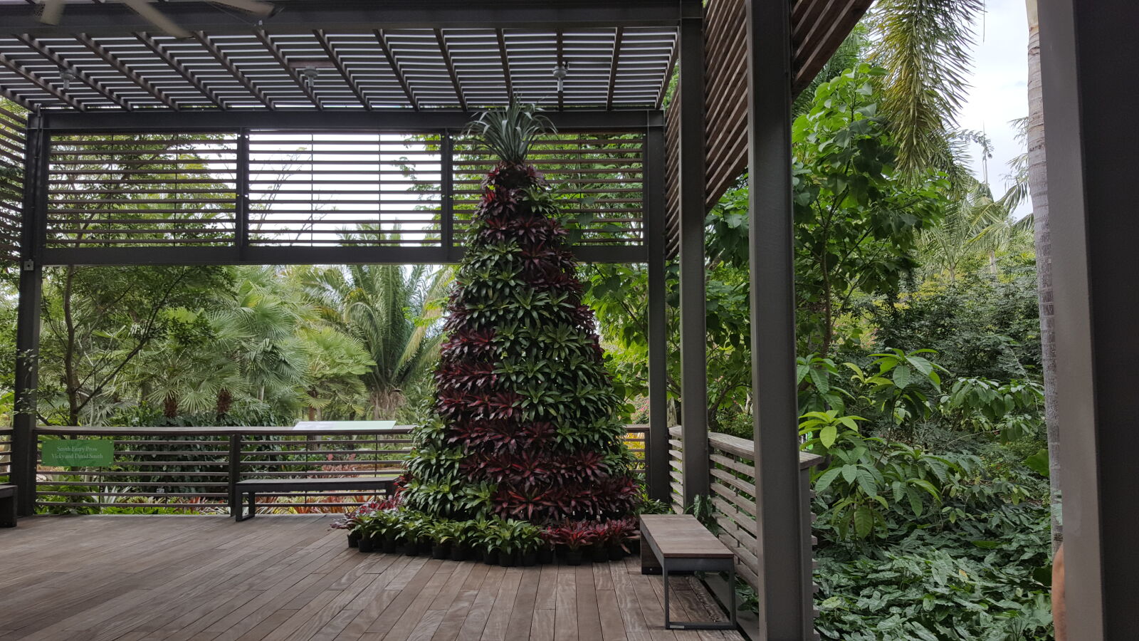Samsung GALAXY S6 edge sample photo. Botanical, gardens, naples photography