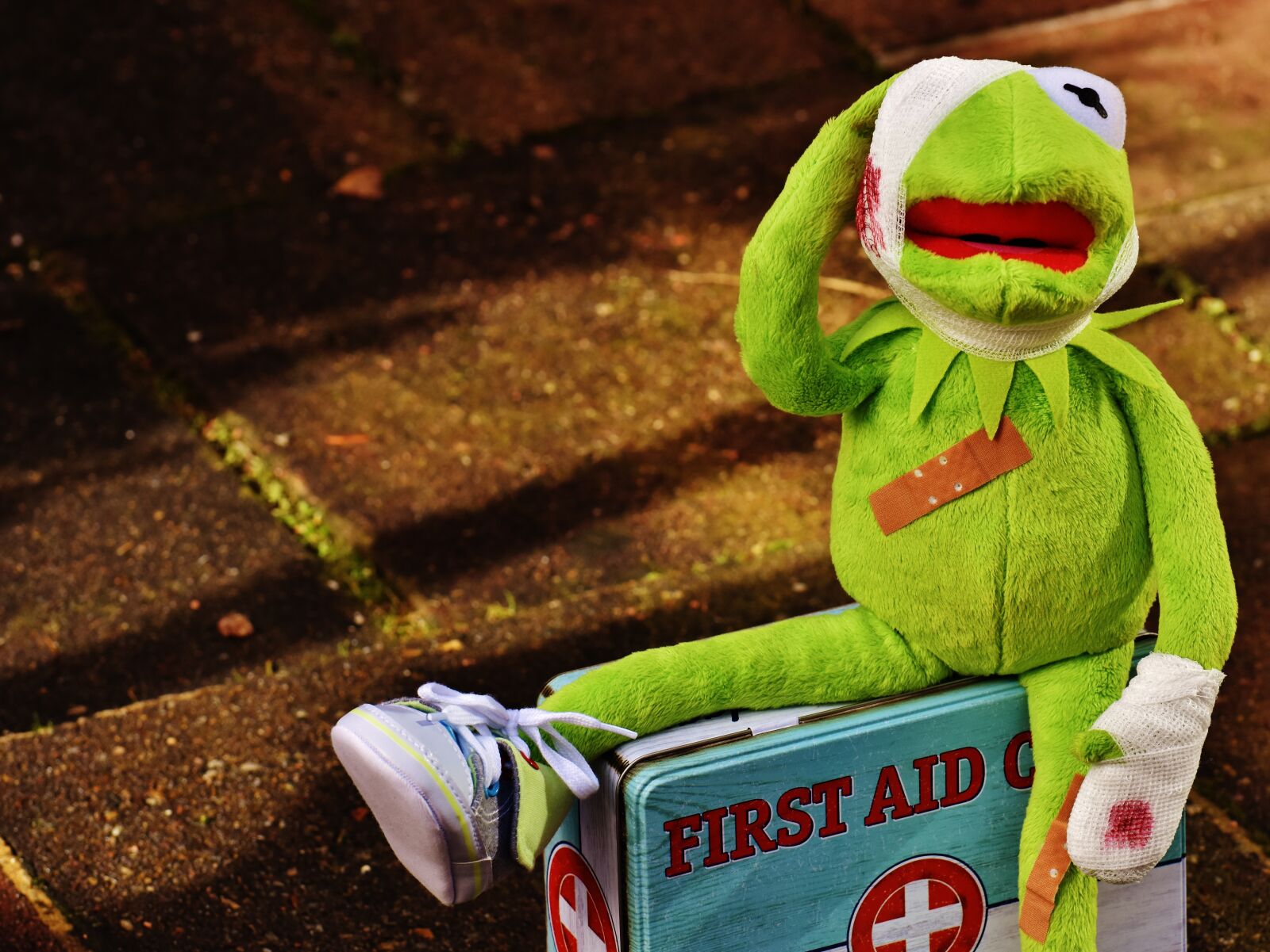 Nikon D7200 sample photo. Kermit, first aid, injured photography