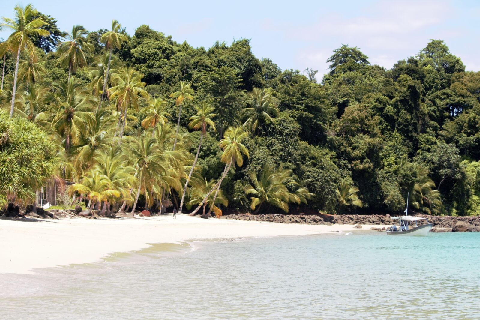 Canon EOS 700D (EOS Rebel T5i / EOS Kiss X7i) sample photo. Paradise, beach, palm trees photography