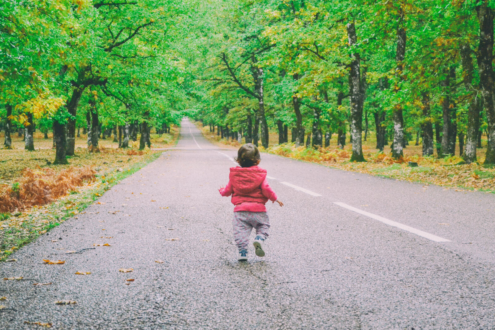 Nikon D3100 sample photo. Asphalt, autumn, avenue, baby photography