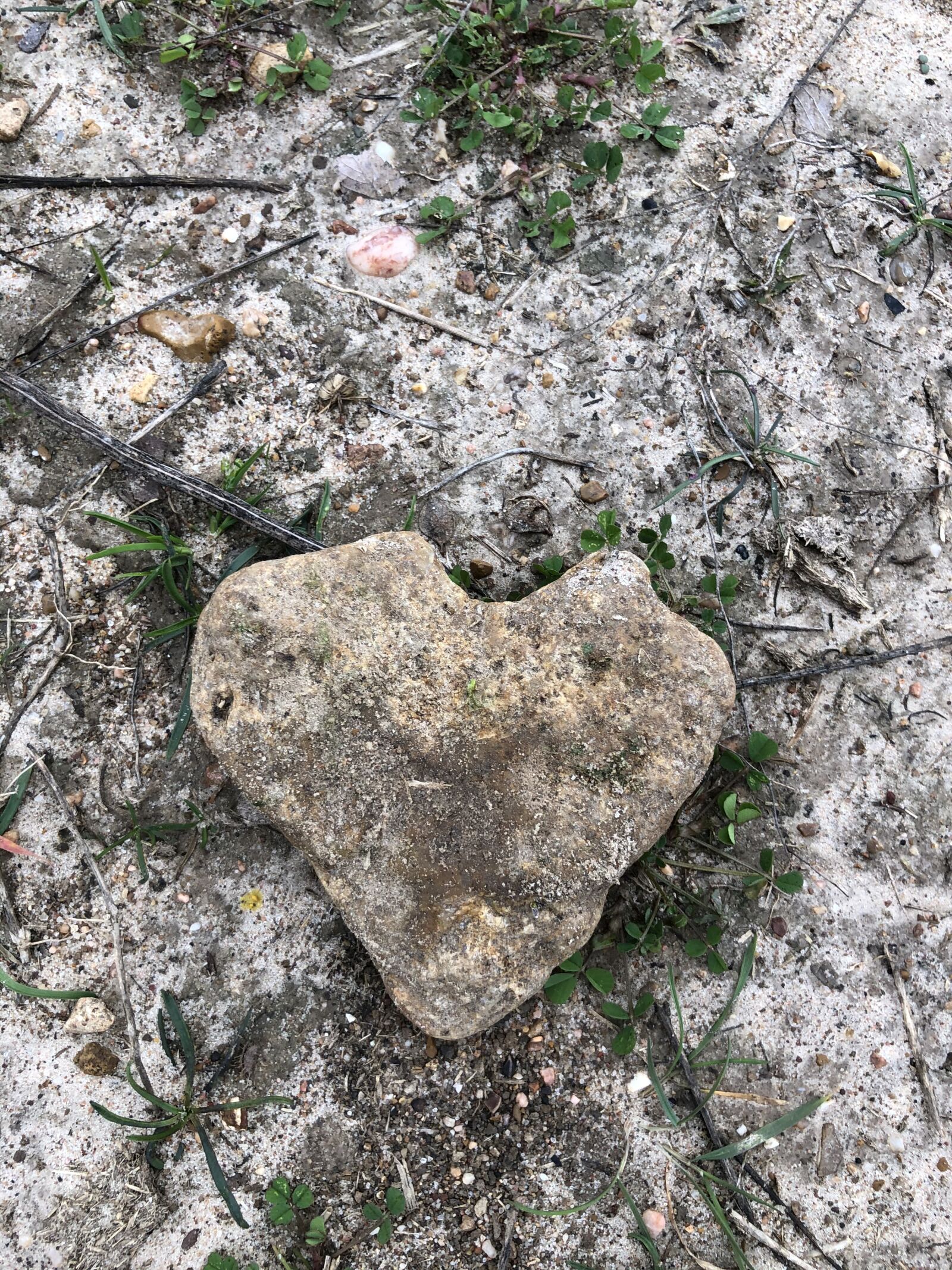 iPhone X back dual camera 4mm f/1.8 sample photo. Heart rock, rock, nature photography