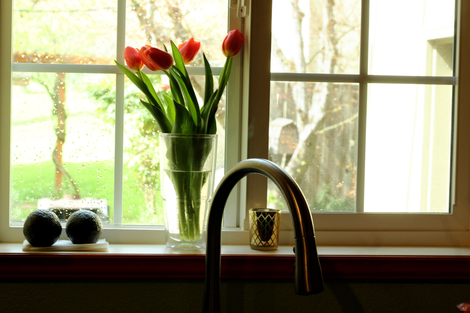 Canon EOS 1200D (EOS Rebel T5 / EOS Kiss X70 / EOS Hi) sample photo. Flowers, house, kitchen, sink photography