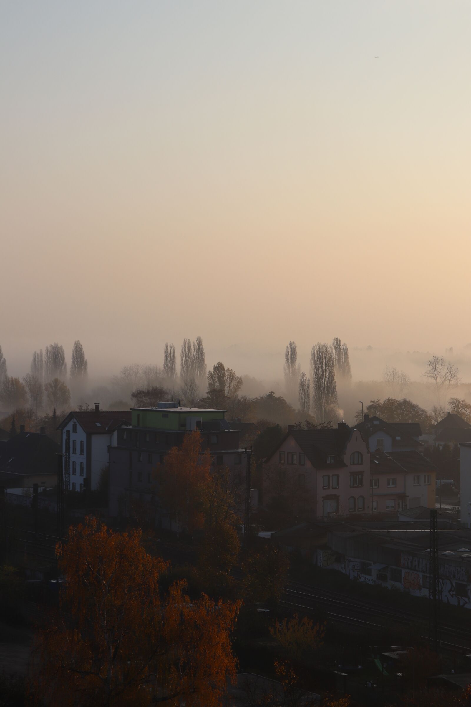 Canon EOS 200D (EOS Rebel SL2 / EOS Kiss X9) sample photo. Foggy, morning, sky photography