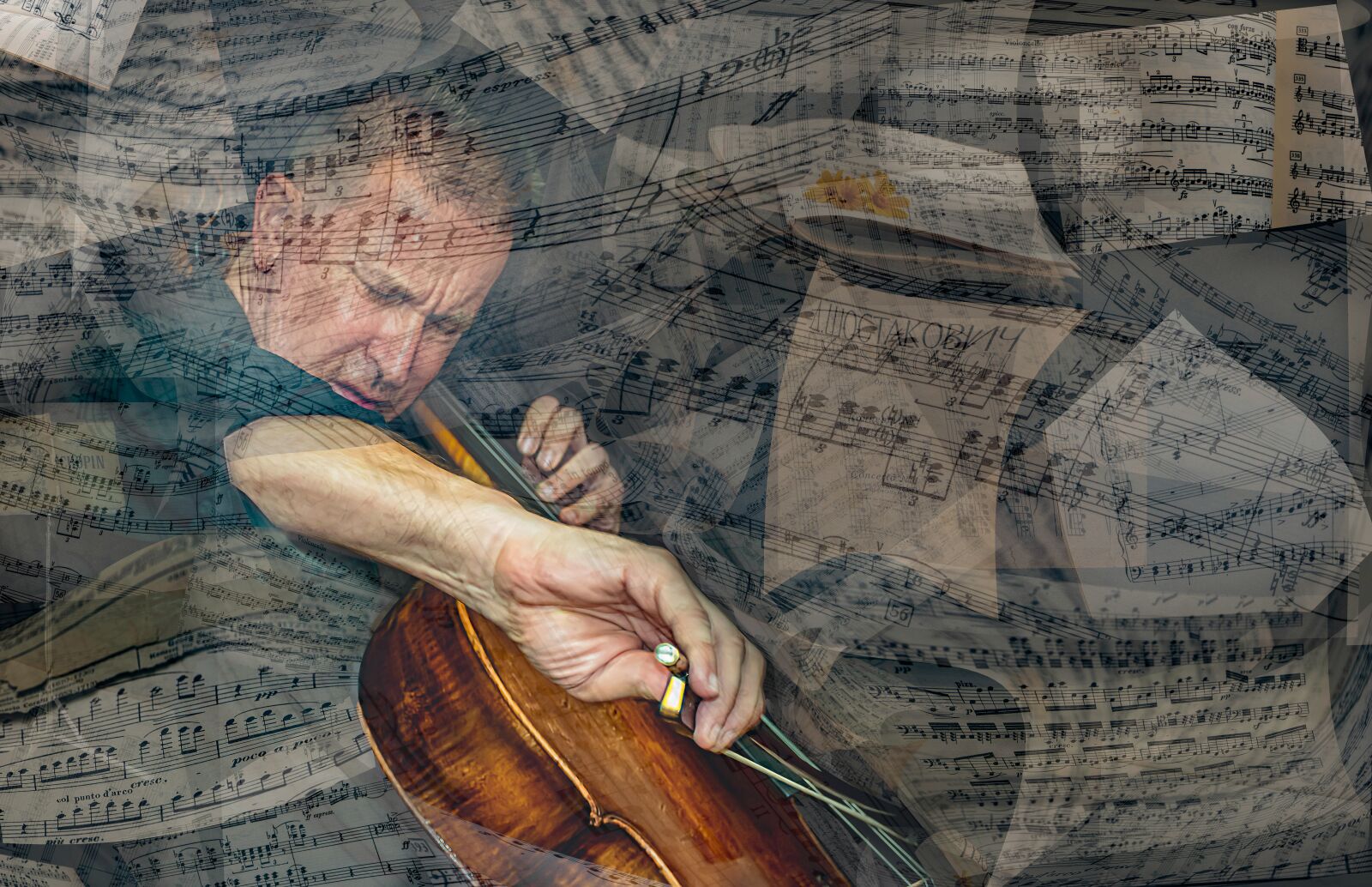 Nikon D5600 sample photo. Expression, music, cello photography