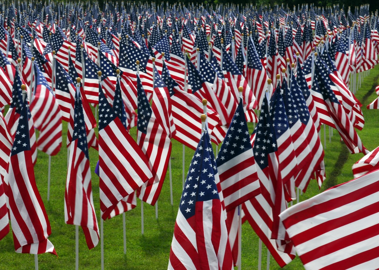 Nikon D200 sample photo. American flags, cemetery, graves photography
