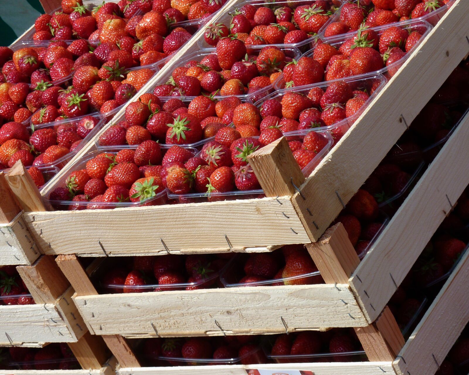 Panasonic DMC-TZ7 sample photo. Strawberries, fruit, fruits photography