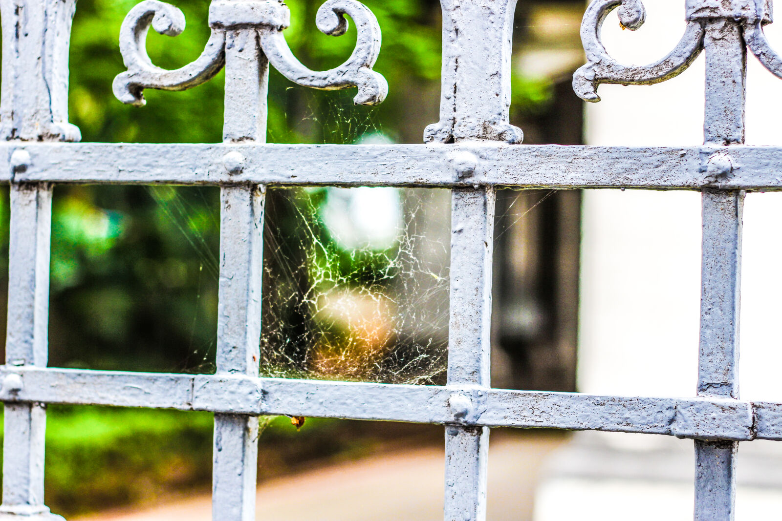 Canon EF 50mm F1.8 II sample photo. Aranha, house, spider photography