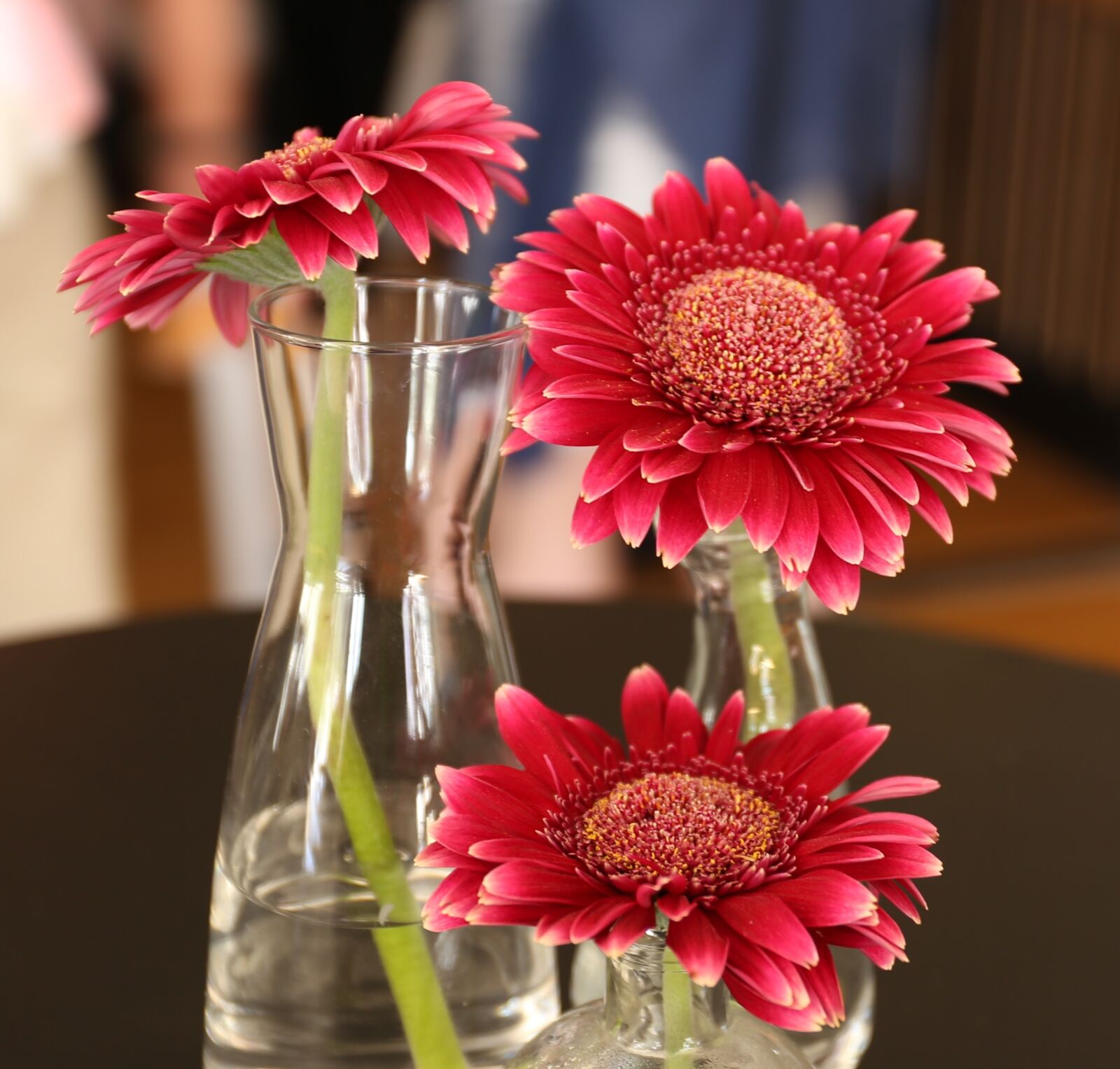 Canon EF 24-70mm F4L IS USM sample photo. Flowers, gerbera, flower photography