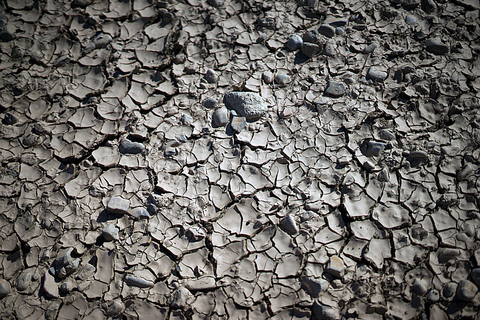 Sony a7 + Sony FE 50mm F1.8 sample photo. Texture earth, ground, texture photography
