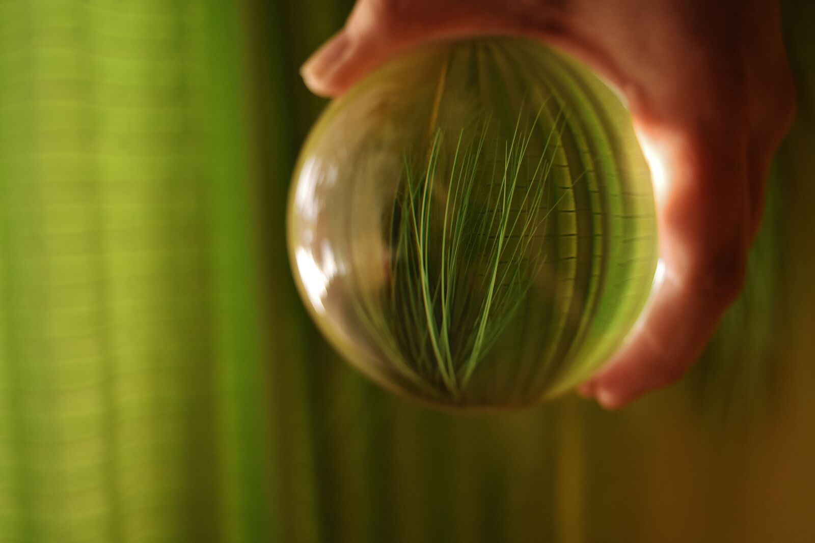 Nikon D7200 sample photo. Ball, glass ball, kunstgras photography