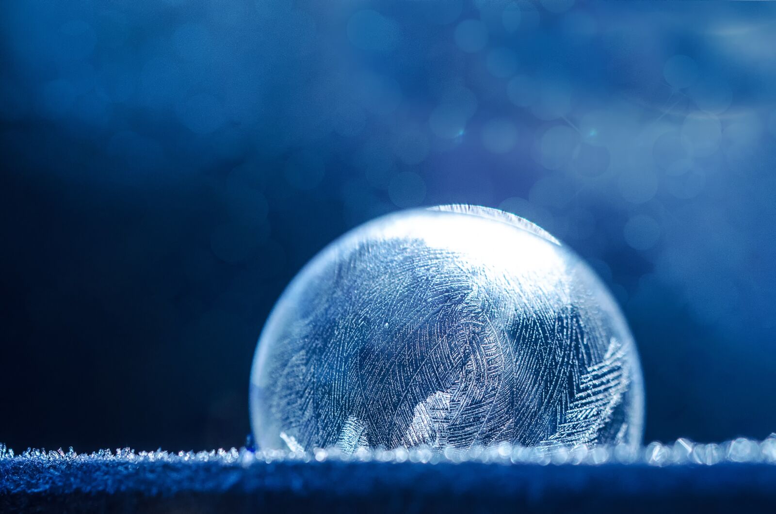 Nikon D5100 sample photo. Soap bubble, frozen, ice photography