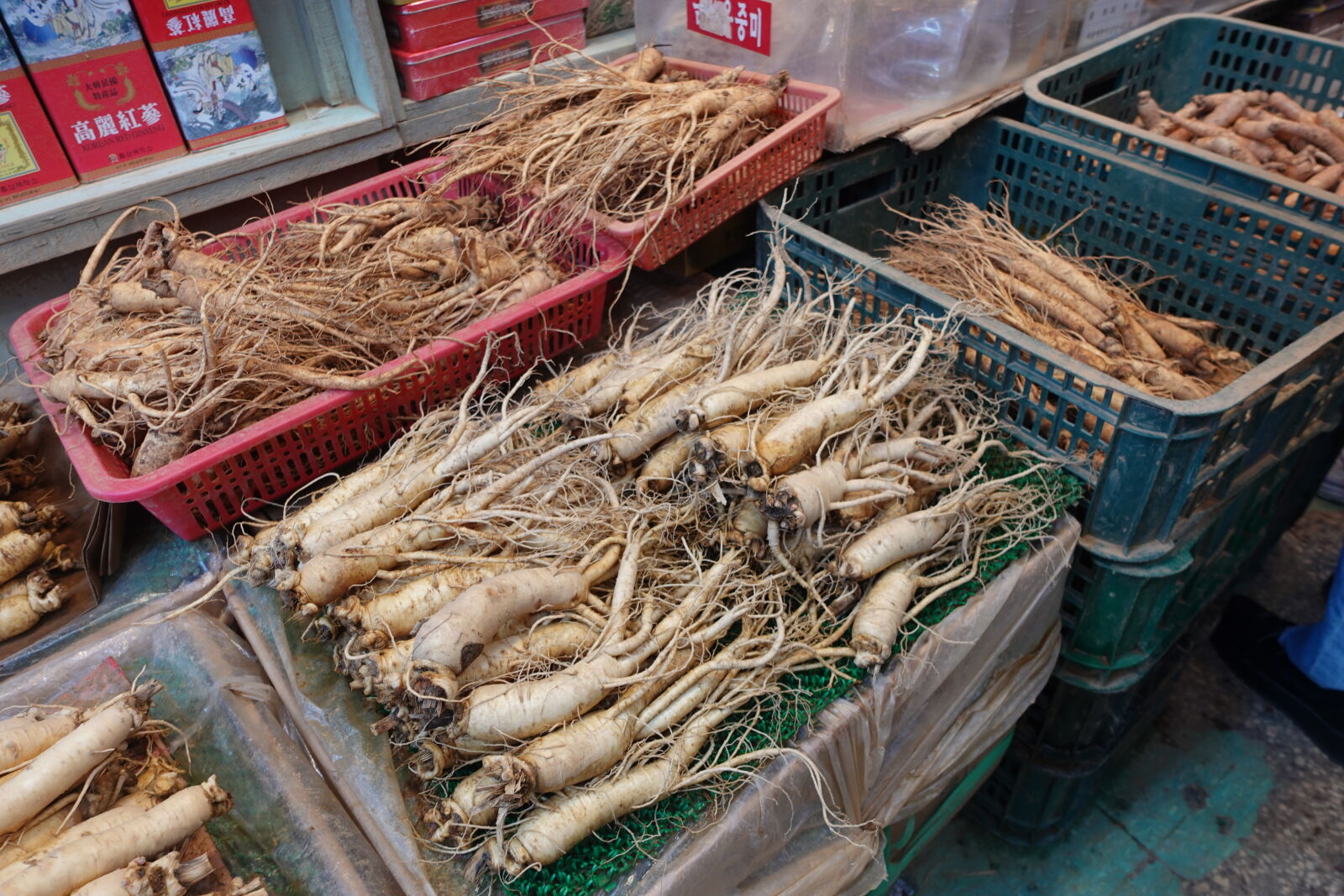 Sony ZV-1 sample photo