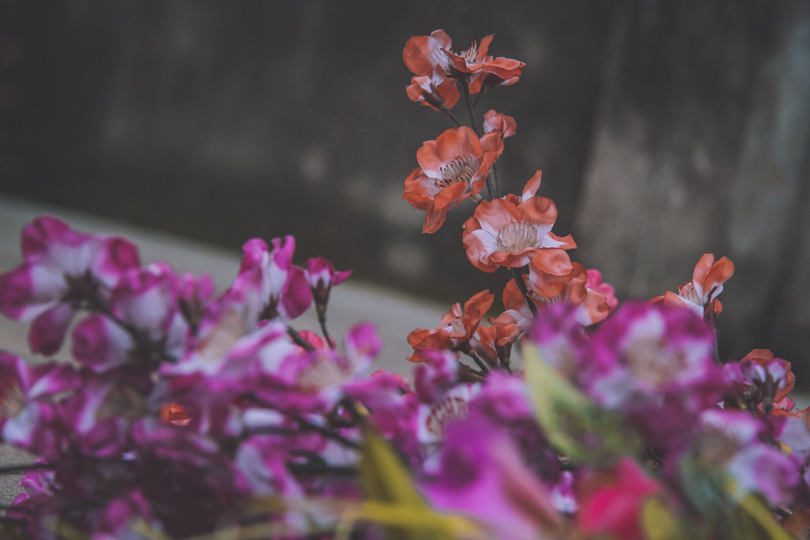 Canon EOS 500D (EOS Rebel T1i / EOS Kiss X3) sample photo. Beautiful, beautiful, flowers, blur photography
