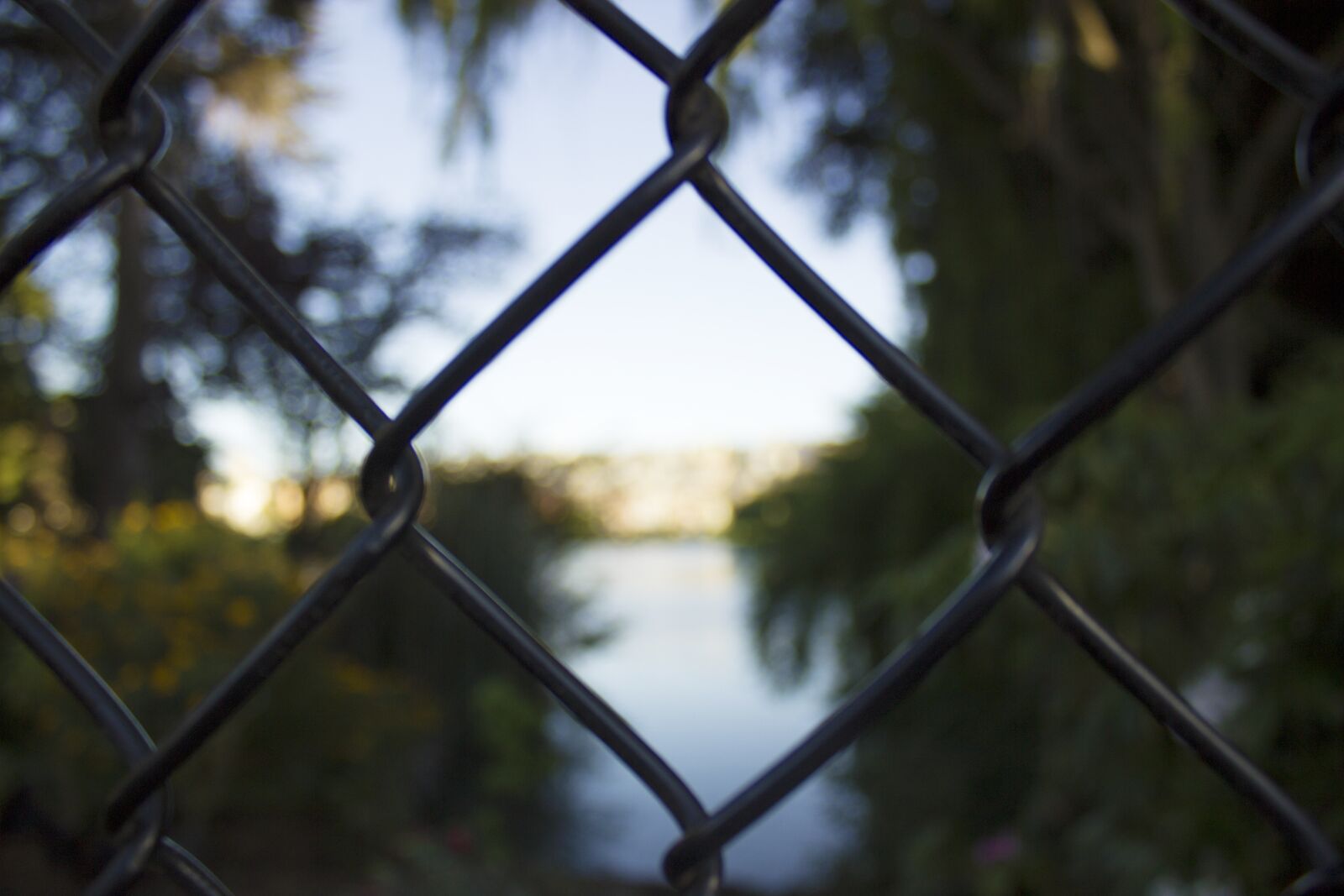 Canon EOS 600D (Rebel EOS T3i / EOS Kiss X5) sample photo. Nature, fence, exterior photography