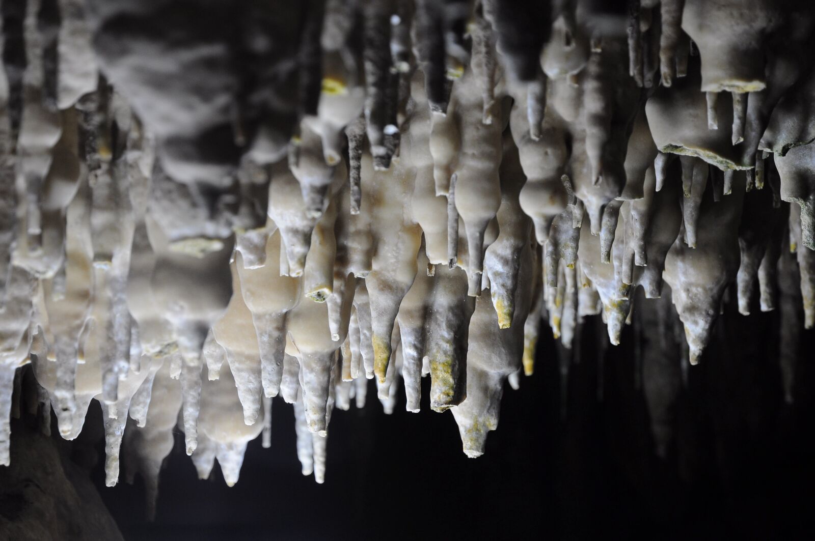 Nikon D90 sample photo. Cave, trang, thailand photography