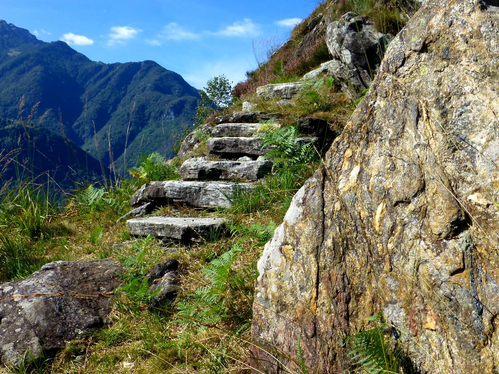 Panasonic DMC-TZ31 sample photo. Maggia valley, ticino, mountains photography