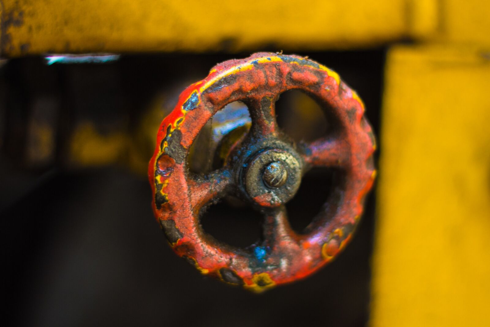 Canon EOS 60D + Canon EF 50mm F1.8 II sample photo. Knob, yellow-orange knob, rugged photography