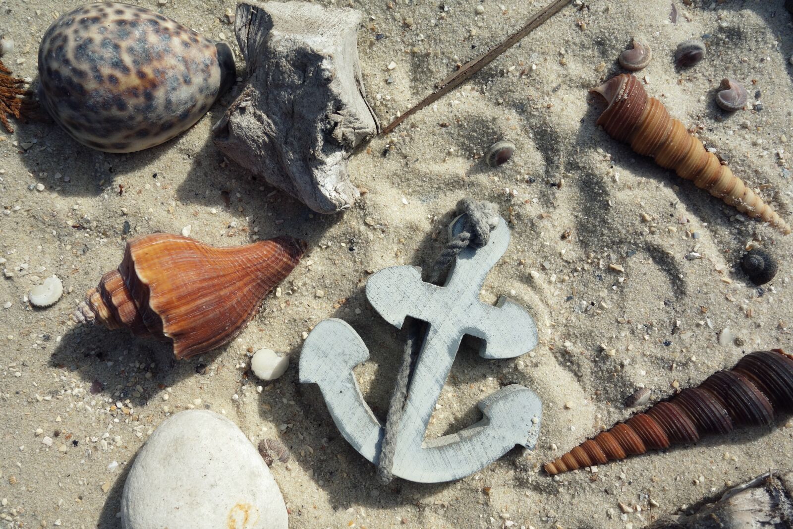 Sony Cyber-shot DSC-RX100 sample photo. Anchor, mussels, sand photography