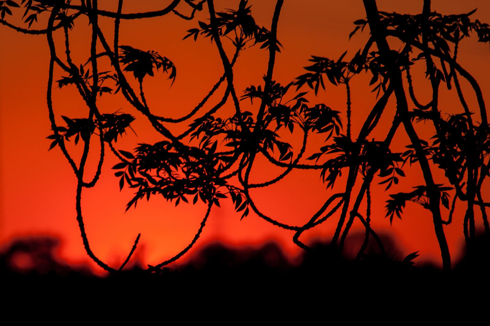 Canon EOS 50D sample photo. Sunset, evening sky, abendstimmung photography