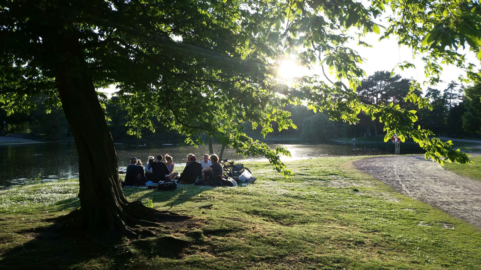 Samsung Galaxy S5 sample photo. Eavening, leafs, people, summer photography