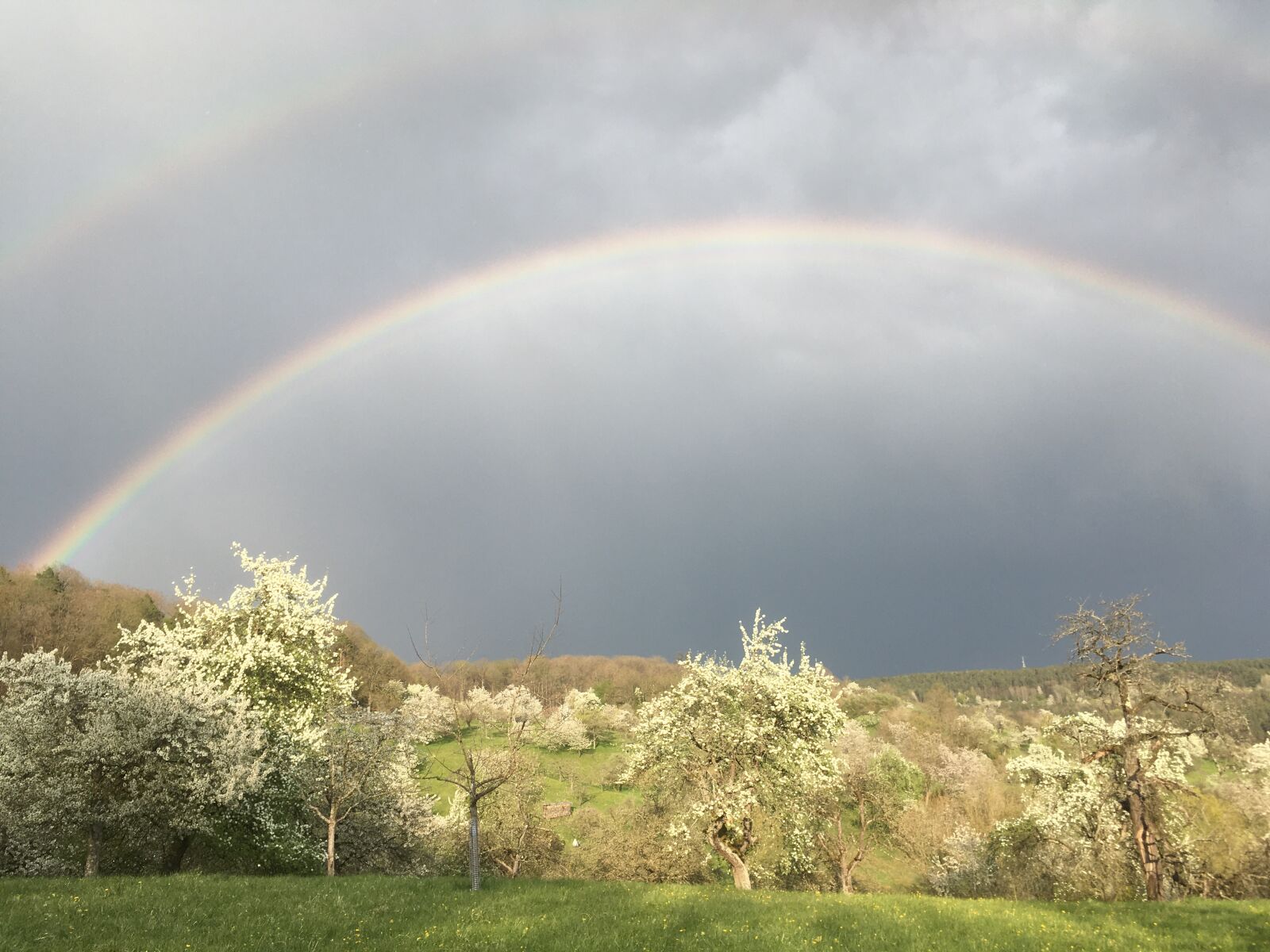 iPhone SE back camera 4.15mm f/2.2 sample photo. Rainbow, spring, landscape photography