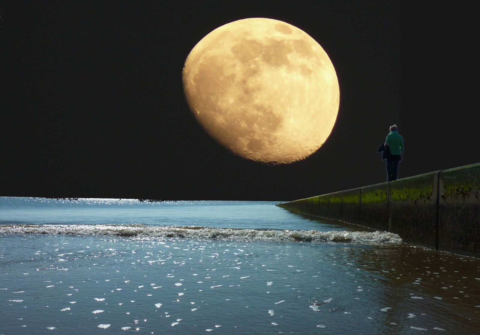 Panasonic DMC-TZ7 sample photo. Sea, moon, evening photography