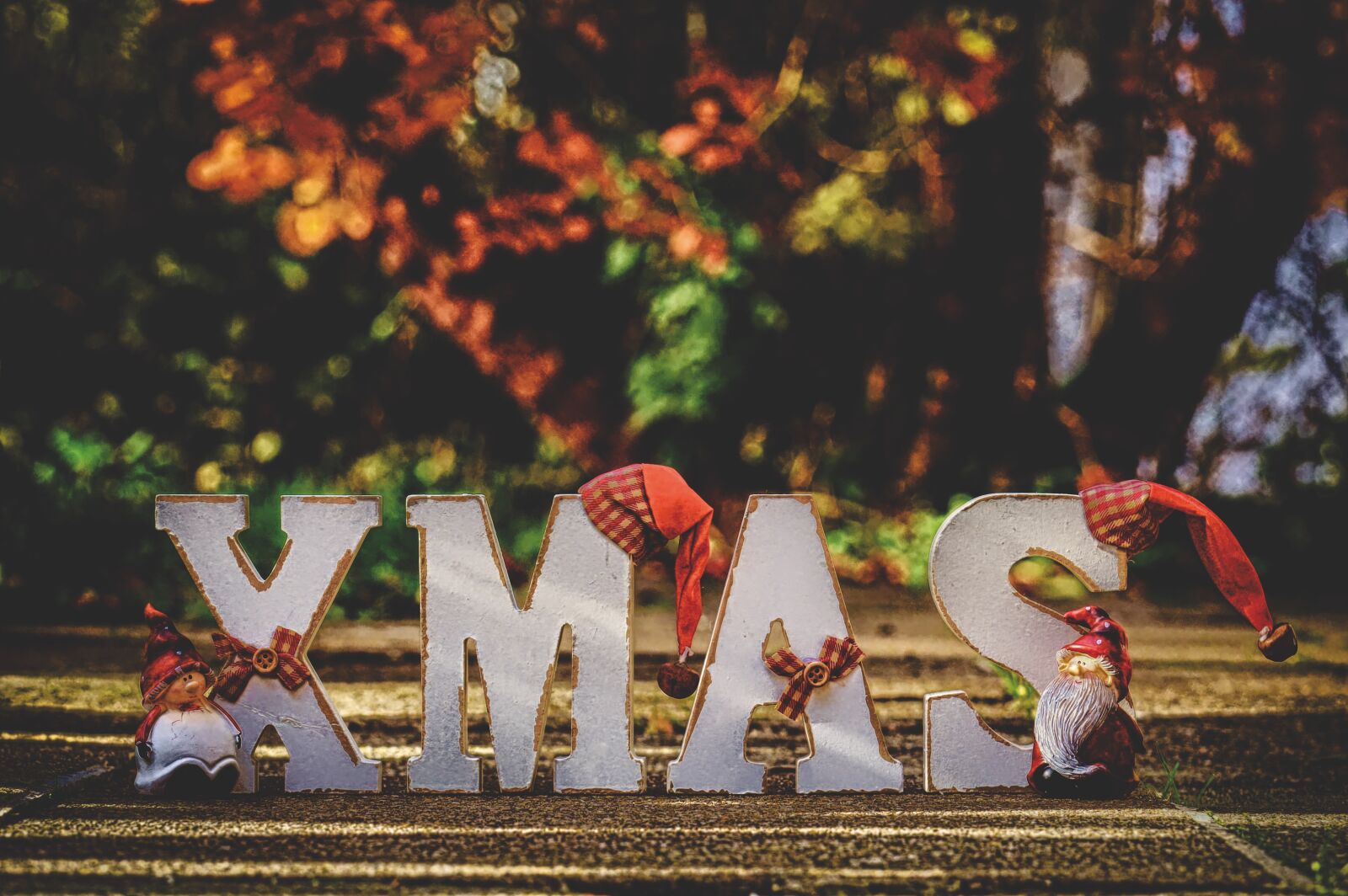 Nikon D3200 sample photo. Christmas, imp, figures photography