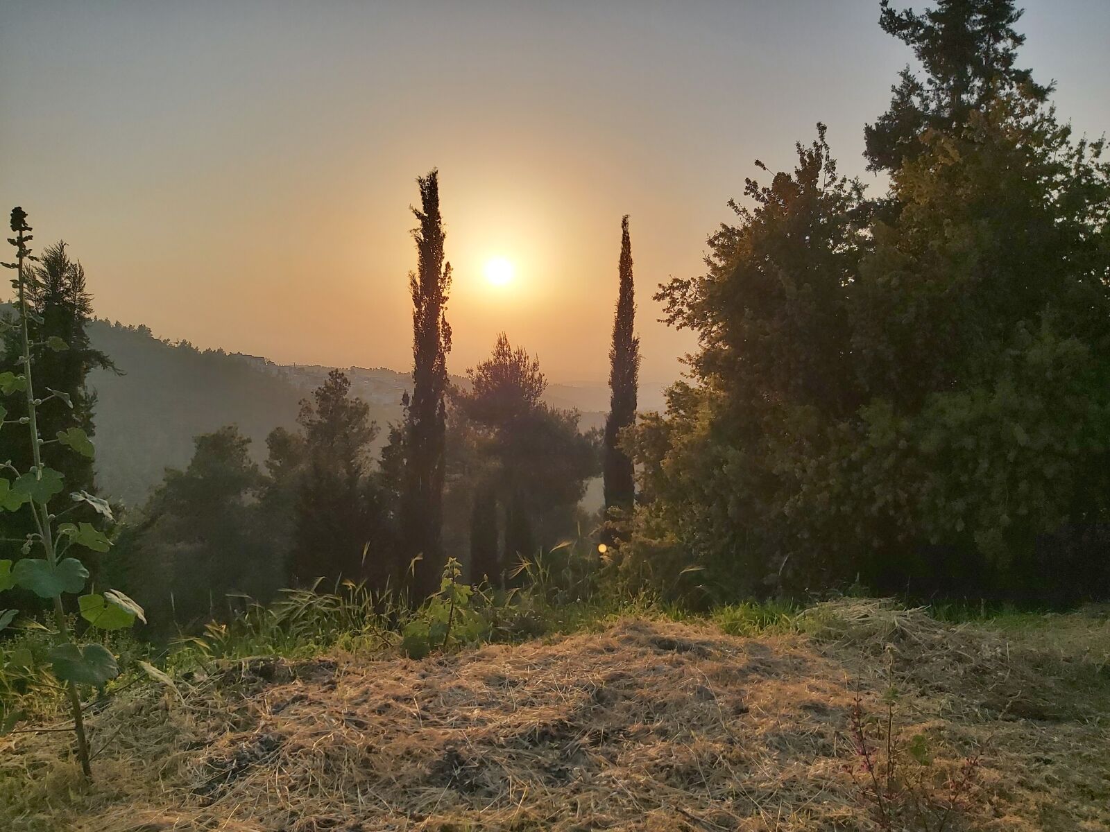 Samsung Galaxy A70 sample photo. Judean mountains, sunset, nature photography